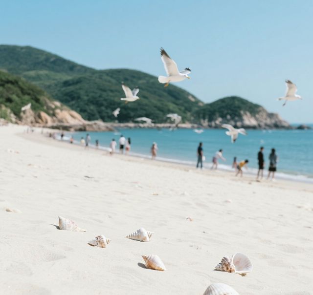 東極島攻略：追光中國最東嘅海島秘境！