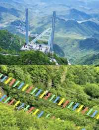 江浙滬新晉頂流！安吉雲上草原
