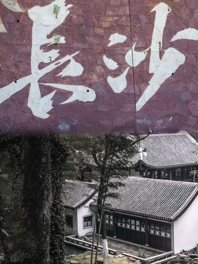 「喺長沙，每一啖美食都係一個故事！臭豆腐、糖油粑粑…真係正！」
