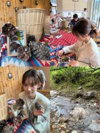 喺麗江住上《五十里桃花塢》同款