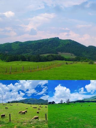 Just 2 Hours from Kunming! Yunnan's Hidden "Little Altay"