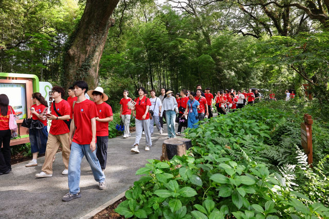 500位學生親測！樂安畢業季三色打卡聖地！