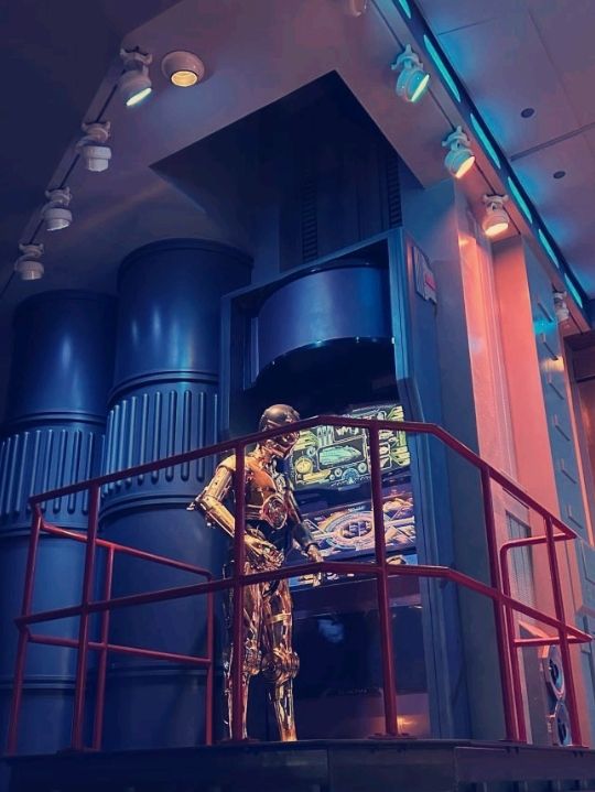 유럽 여행 필수 코스, 파리 디즈니랜드에서 누리는 동화 같은 하루​