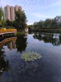 閒遊板橋坊河之三湖公園