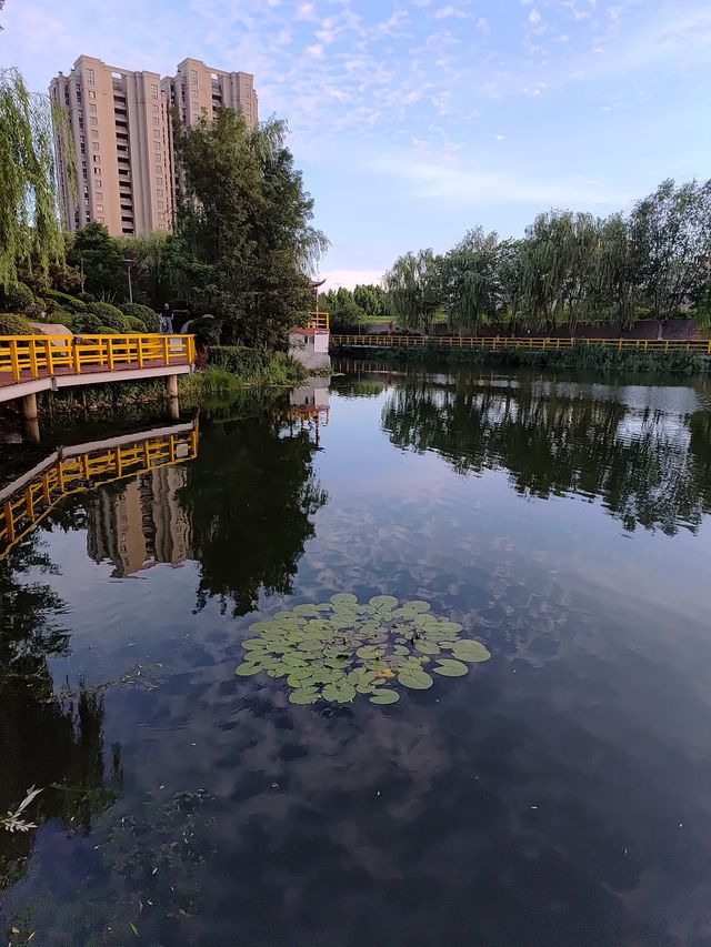 閒遊板橋坊河之三湖公園