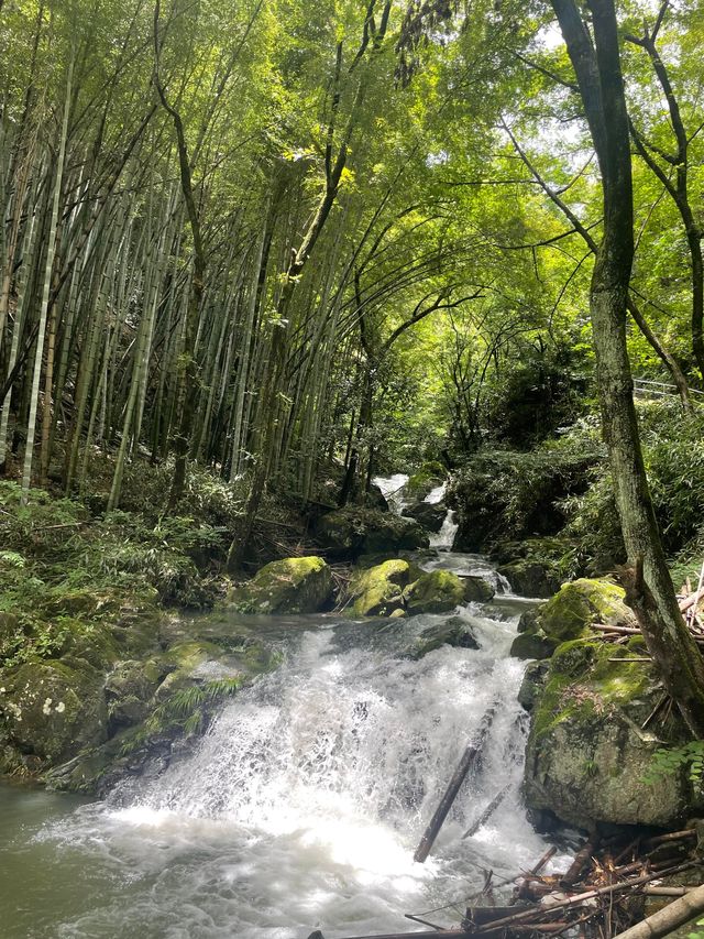 親子玩水秘境！上王崗溯溪免繞路攻略