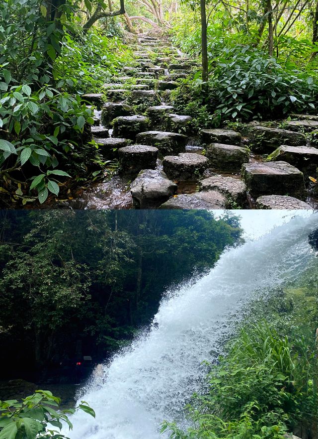 地球腰帶上的綠寶石