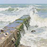 廈門追浪、聽風、食海鮮嘅快樂指南