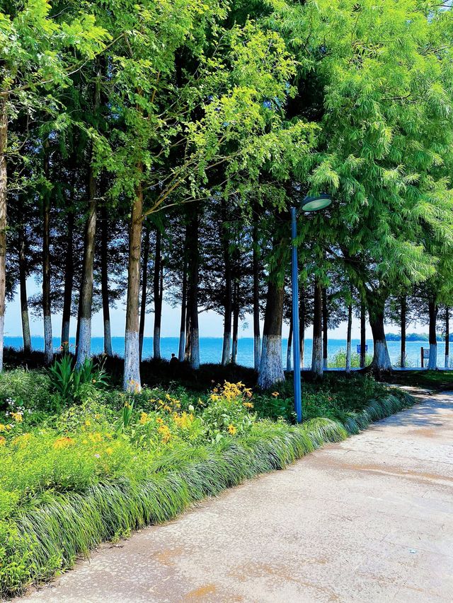 蘇州崑山巴城生志濕地公園:周邊遊