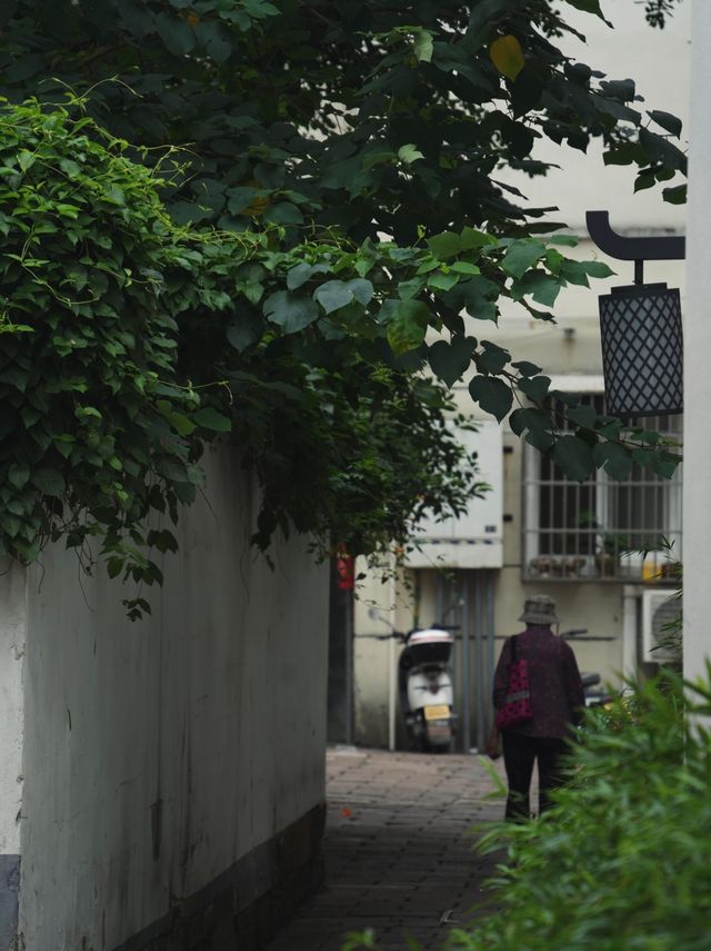 杭州40分鐘直達！呢座千年古鎮人少景靚仲免費｜附小眾文藝玩法