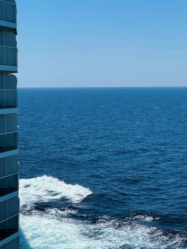 📓 Royal Caribbean Cruise Diary – Not Your Typical Vacation! 🌊✨