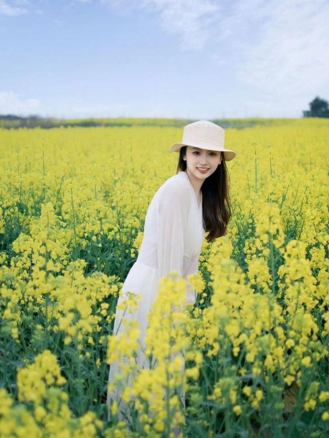 去門源油菜花海千祈唔好犯呢啲禁忌！否則後悔莫及