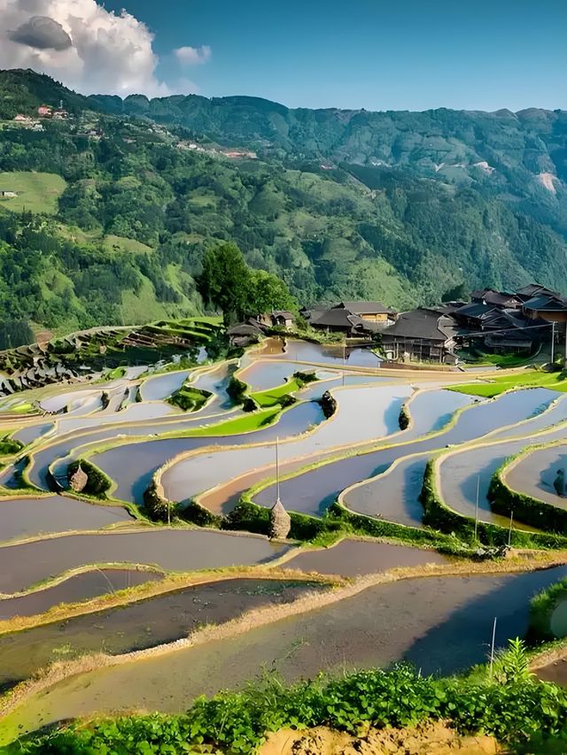 加榜梯田漫遊：在層層綠意裡拾光而行 