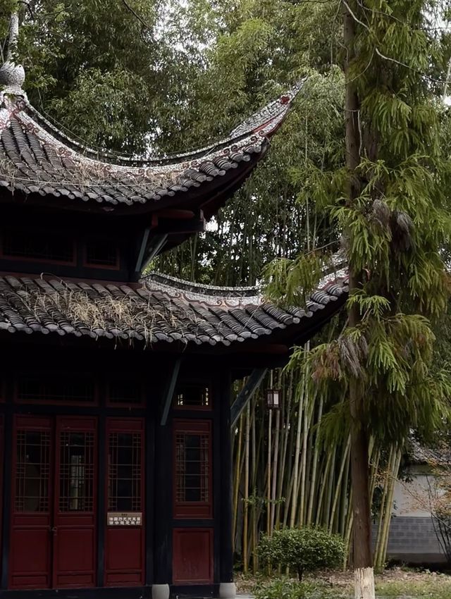 竹海禪境，梁平綠韻