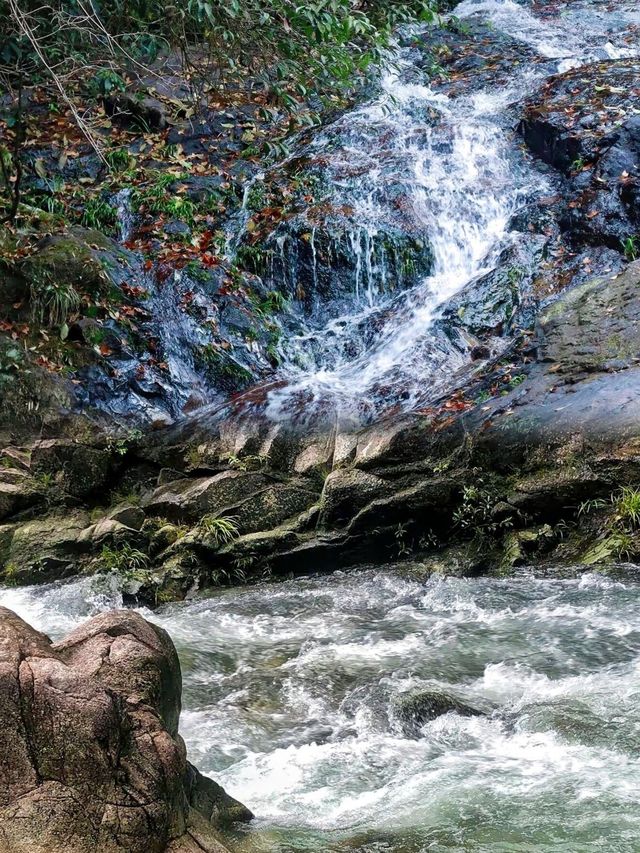 2025南昆山國家森林公園全攻略 | 避暑吸氧漂流溫泉一站式