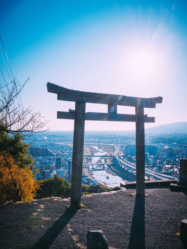 大阪秘境！池田五月山──都市綠洲中的櫻花隧道與茶香古道】**  