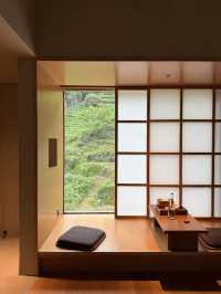 INFJ日記｜生活唔係時時都需要衝刺。