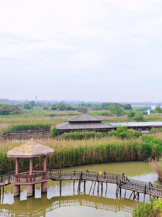 毋須趕路,感受旅途 | 下渚湖慢活指南 毋須趕路,感受旅途 | 下渚湖慢活指南