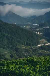 西安親子遊|帶娃住進法國電影裡的山間民宿