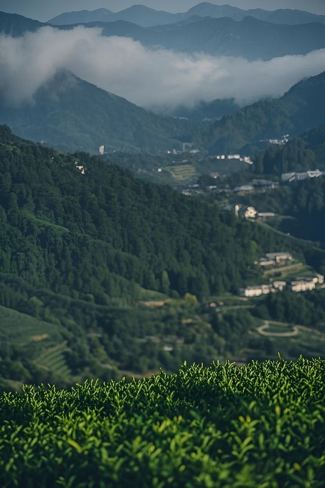 西安親子遊|帶娃住進法國電影裡的山間民宿 西安親子遊|帶娃住進法國電影裡的山間民宿
