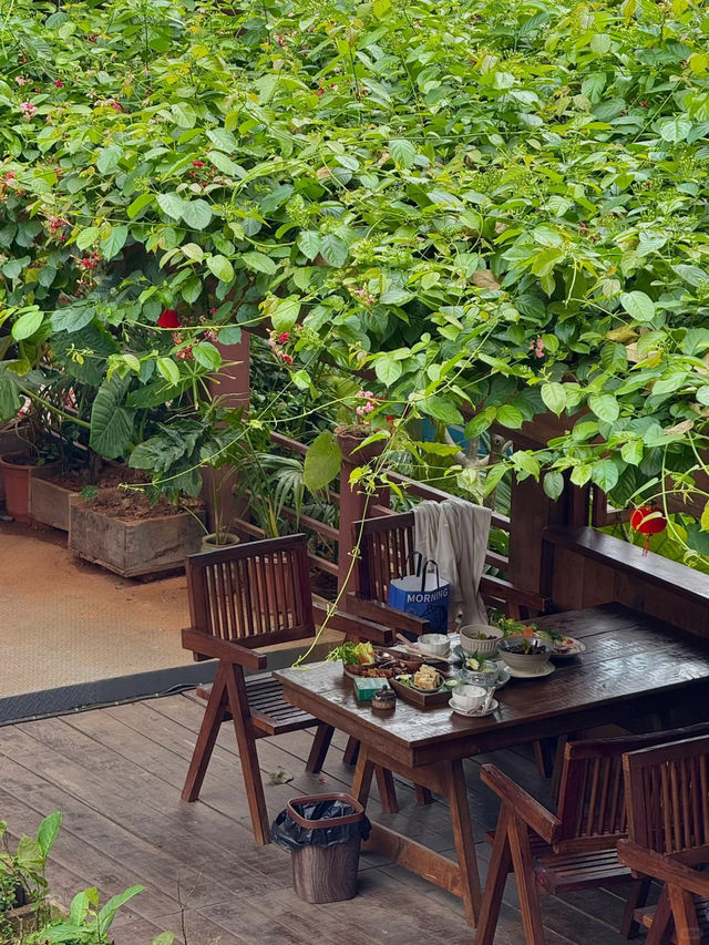 西雙版納旅遊真係快樂到飛起！暖到入心仲有靚景美食🌴