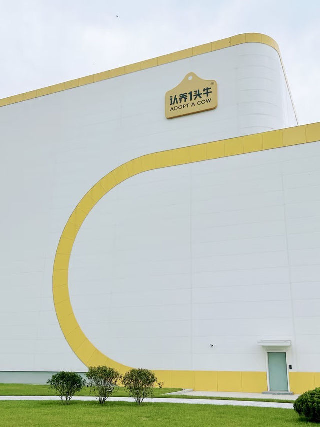 田園牧歌，牧場裡的溫暖約定：故城縣認養一頭牛景區