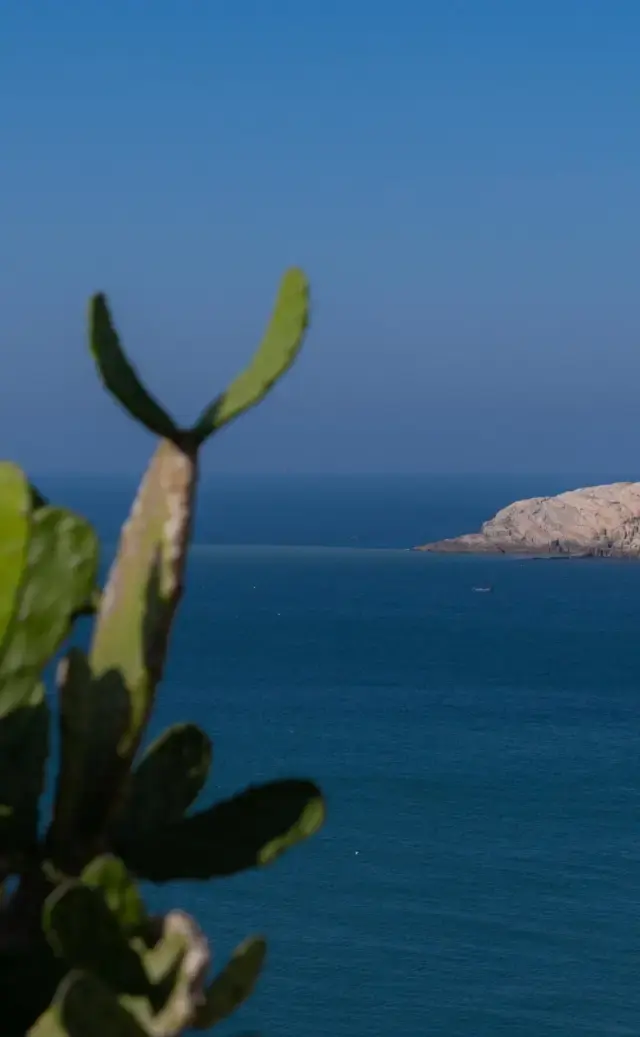 朱家尖，東海遺珠！山海之間的度假天堂，去了就不想回來