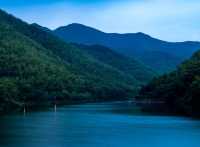 溧陽南府：南山竹海旁的詩意居所