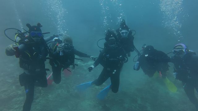 廬山西海潛水基地開業迎客