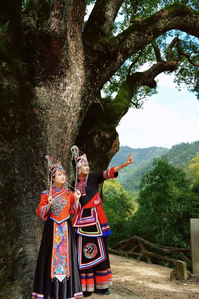 浙南山水秘境攻略