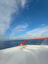 Vilu Reef: A Fourth Adventure in the Maldives