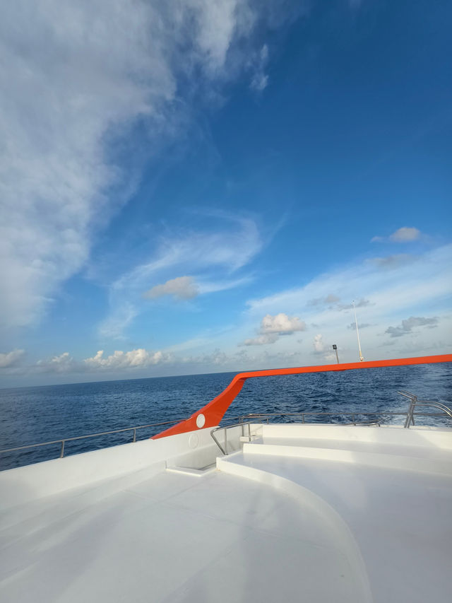 Vilu Reef: A Fourth Adventure in the Maldives