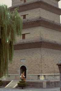 石家莊開元寺拍照遊玩攻略。