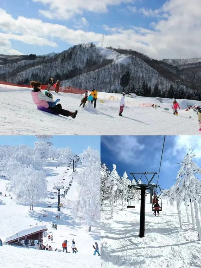 告別人擠人·日本資深玩家強推小眾玩雪路線