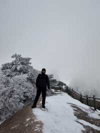黃山冬日仙境！保姆級雪景攻略+冷門機位大公開 杭州出發2h直達！黃山雪景封神了家人們！ 