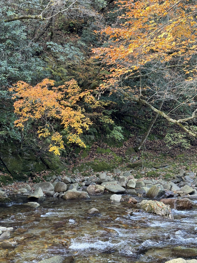【每週出遊】漢中探秋，黎坪景區一日遊