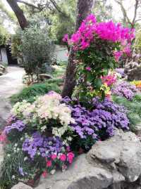 綠意依然、鮮花盛開的留園