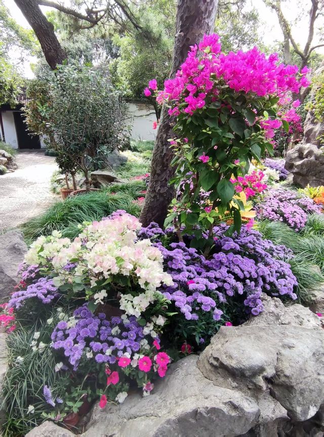 綠意依然、鮮花盛開的留園