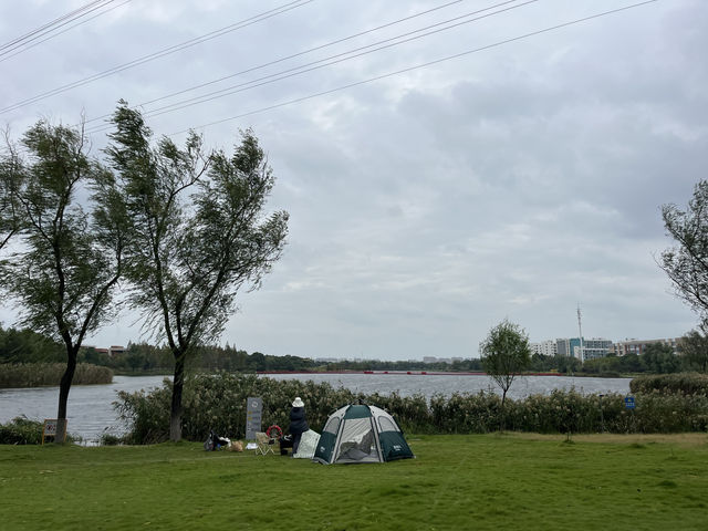 東沙湖生態公園