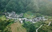 這桌“四菜一湯”你見過嗎？