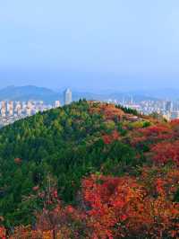 濟南賞紅葉必去｜郎茂山·蠍子山絕美秋色大公開