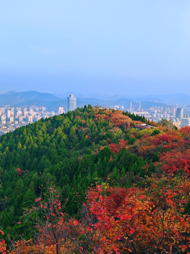 濟南賞紅葉必去｜郎茂山·蠍子山絕美秋色大公開