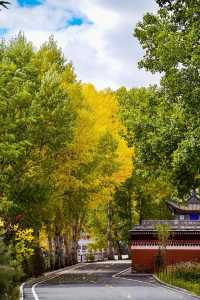甘南,一場信仰與美景交織的靈魂之旅