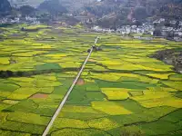 貴陽周邊｜這怎麼不算春天的油畫