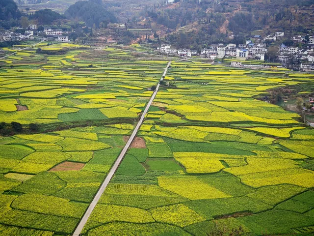 貴陽周邊｜這怎麼不算春天的油畫