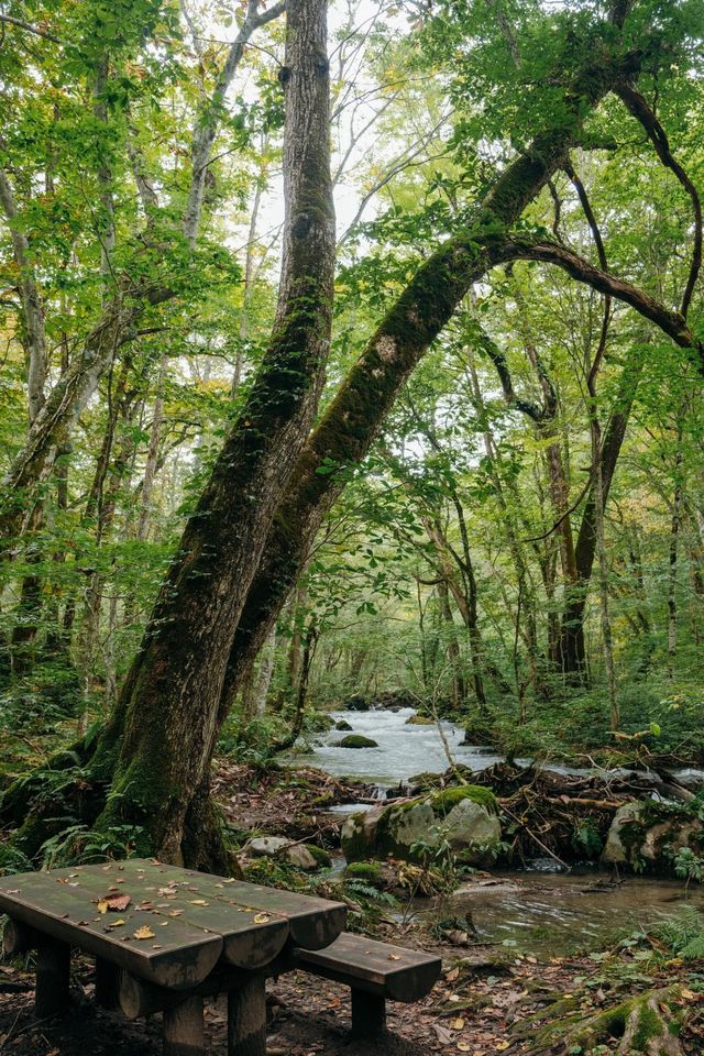 青森奧入瀨溪流+十和田湖一日散步路線 青森奧入瀨溪流+十和田湖一日散步路線