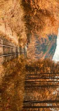 最美秋色——大興安嶺