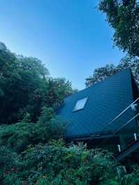 發現一處隱世秘境!舟山這家童話莊園酒店也太絕了!