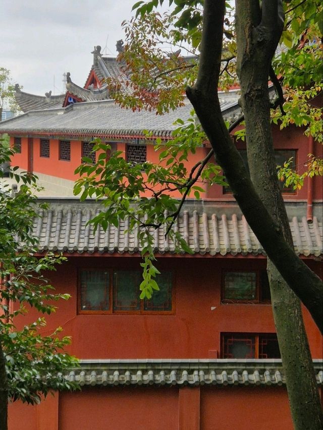 Qianling Mountain Park: Guiyang's Natural Masterpiece