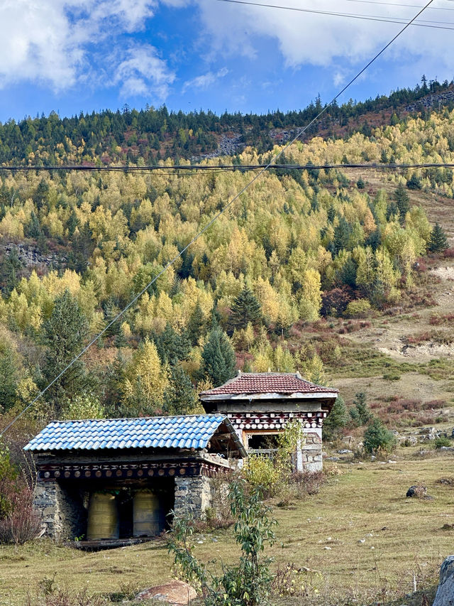 10月川西，赴一場光與金黃的約會